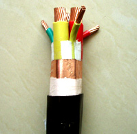 變頻器專(zhuān)用電纜“天康集團(tuán)_天康_安徽天康_安徽天康集團(tuán)www.ahtiankangjt.cn”